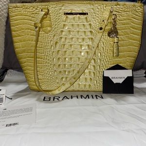 Medium Asher Lemonade Brahmin Tote